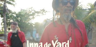 2017 I PROTAGONISTI #4: INNA DE YARD