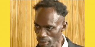 ERGASTOLO PER NINJA MAN