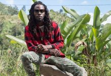 2017 I PROTAGONISTI #3: JESSE ROYAL