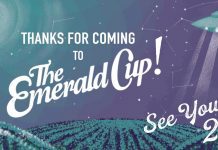 #GanjaReport @TheEmeraldCup #California by @Rainavilla @astarbene