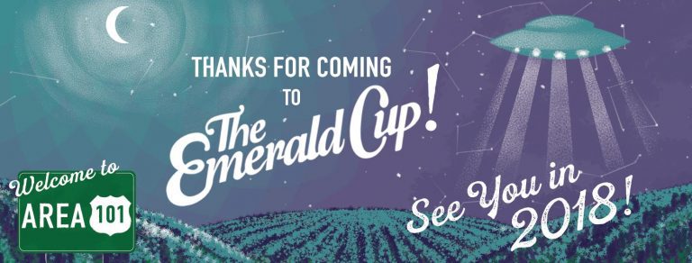 #GanjaReport  @TheEmeraldCup #California by @Rainavilla  @astarbene