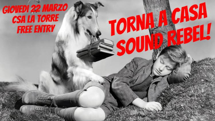 torna a casa SOUND REBEL! BARETTO SESSION! torna a casa SOUND REBEL! BARETTO SESSION!