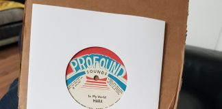 Mara e Brizion – In my world, new 7″ by Profound sounds label