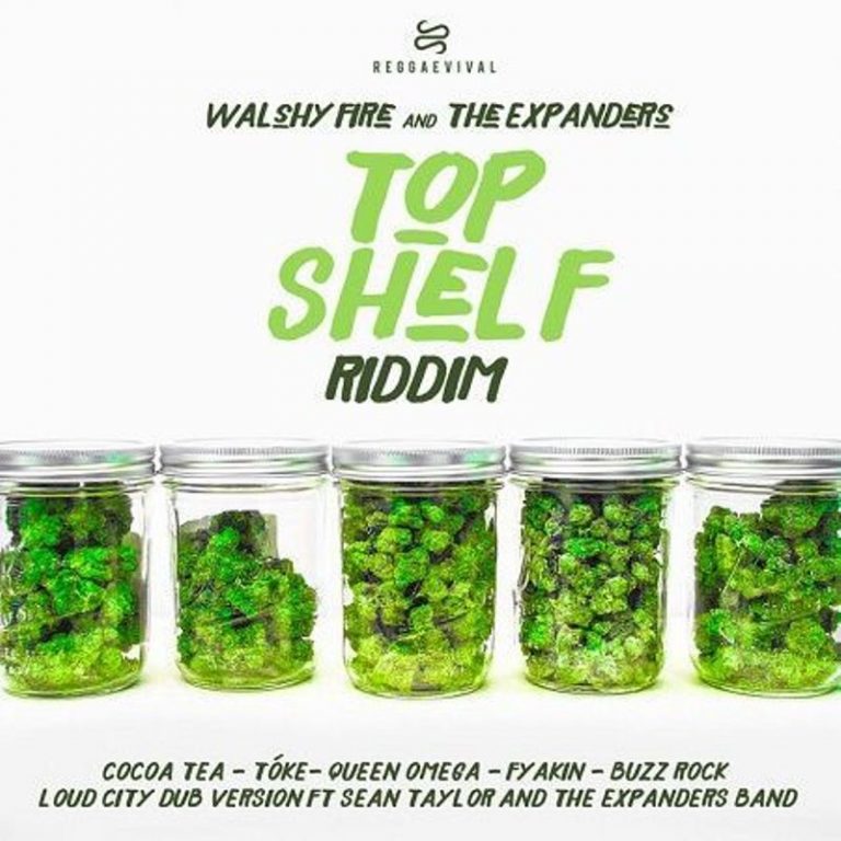 TOP 10 REGGAE RIDDIMS MARZO 2018