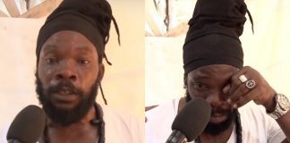 LE LACRIME DI BUSHMAN ANIMANO IL DOPO REBEL SALUTE