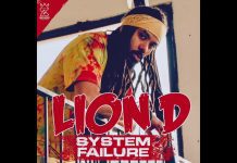 Lion D ‘System Failure’