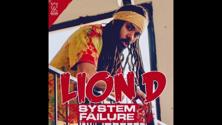 Lion D ‘System Failure’