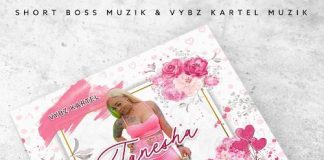 “TOO TANESHA”, NUOVO ALBUM PER VYBZ KARTEL