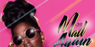 Dj Priest Mad Again Mixtape 3/2K20