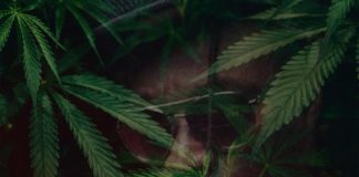 MYKAL ROSE HA UN “WEED PLAN”