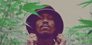 ZUGGU DAN: THE BUSH MASTER