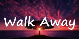 IL RITORNO DEI SOJA CON “WALK AWAY”