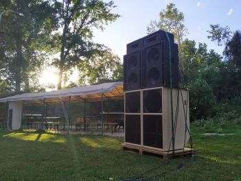 STEPPIN INTO BUSH STEPPIN INTO BUSH