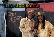 IL RITORNO DEI WAILING SOULS CON “BACK A YARD”