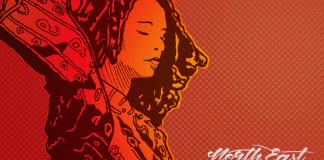 North East Ska*Jazz Orchestra: primo singolo in italiano Cover - Un Altro Istante - NESJO