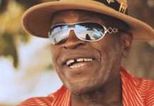 EEK-A-MOUSE: 40 ANNI DI “WA-DO-DEM”