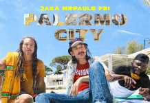 FBI Feat. JAKA & Mr PAUL B – PALERMO CITY FBI Feat. JAKA & Mr PAUL B - PALERMO CITY