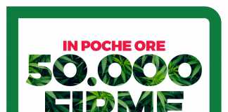 FIRMA REFERENDUM CANNABIS LEGALE REFERENDUM CANNABIS LEGALE