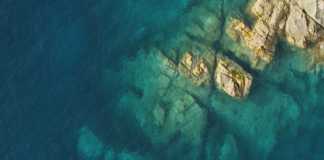 Train To Roots : Pro Tie Train To Roots: Pro Tie