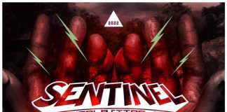 Sentinel Sound pres. DHM Vol 40 – Grateful Sentinel Sound
