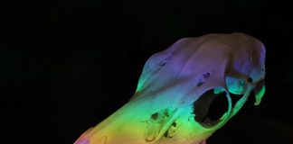 Mahout – Second Street