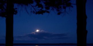 Damian “Jr Gong” Marley rilascia il video di My Sweet Lord in omaggio a San Palenque De Basilio