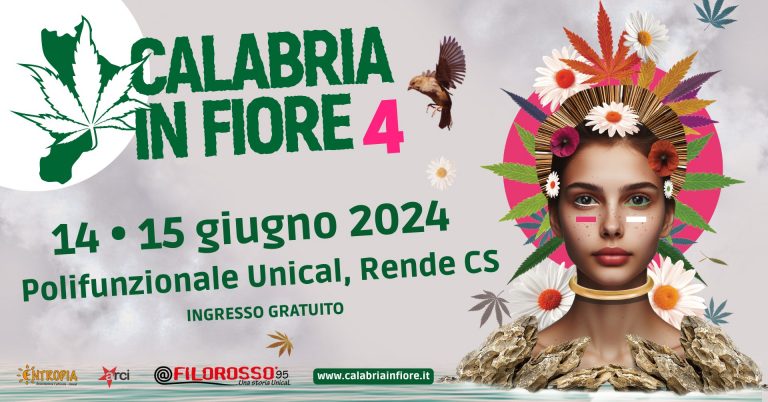 Villa ada posse + Mujina Crew @ Calabria In Fiore 4 Villa ada posse + Mujina Crew @ Calabria In Fiore 4