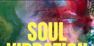 SOUL VIBRATION IL NUOVO SINGOLO DEI TARANTOLA TARANTOLA