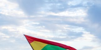 Intervista a Ilements