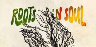 Roots ‘n’ Soul’, il nuovo disco di ZonaSun