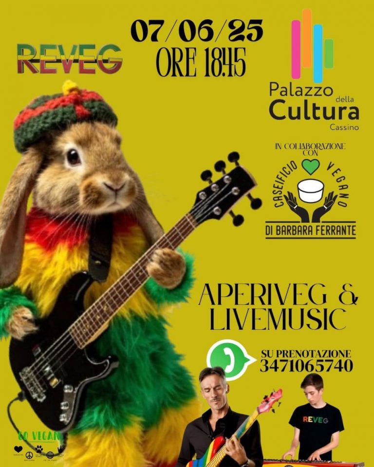 APERIVEG MUSIC REGGAE DUB