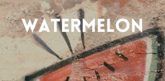 Rootical Foundation – Watermelon