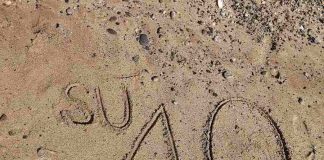 Su’ 40, il nuovo singolo di Manzish Su' 40, il nuovo singolo di Manzish