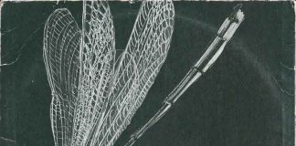 The Admirals presentano “Stand Firm” The Admirals presentano “Stand Firm”